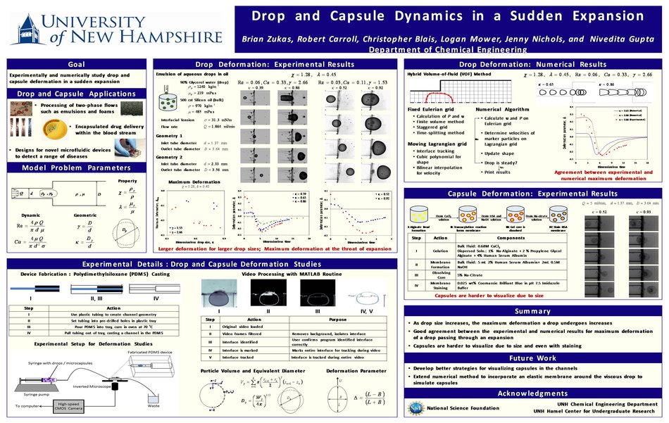 Drop And Capsule Dynamics by ngupta